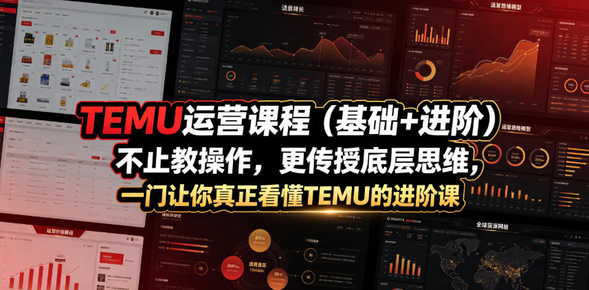 TEMU运营课程(基础+进阶)，不止教操作，更传授底层思维，一门让你真正看懂TEMU的进阶课-仙女副业网