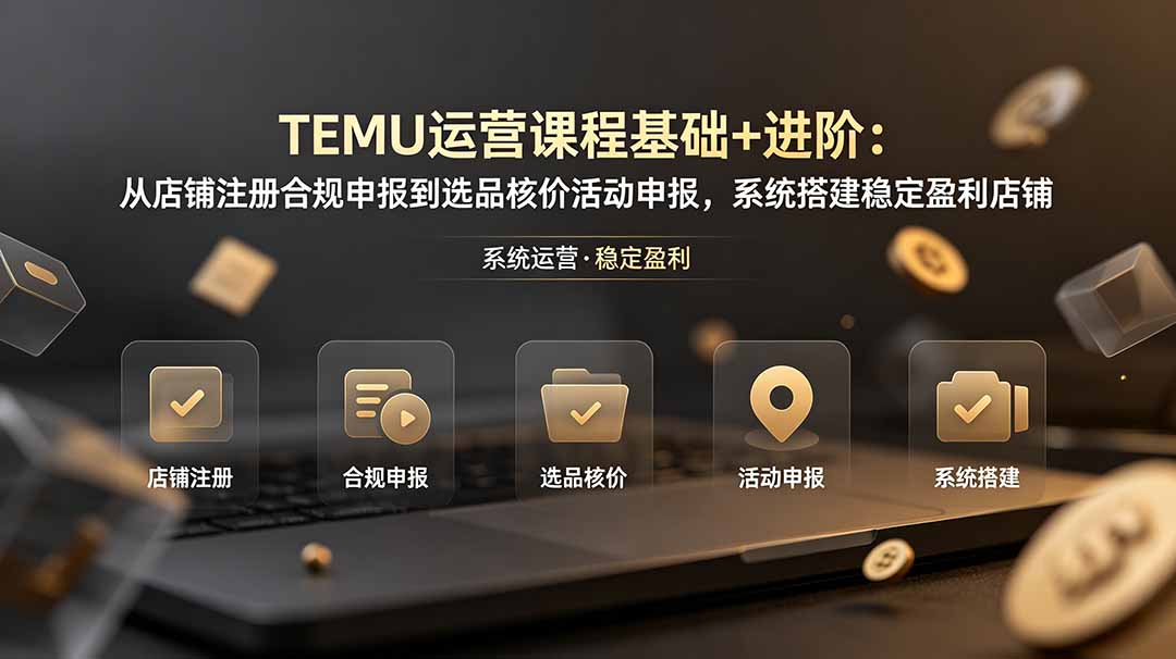 TEMU运营课程(基础+进阶-仙女副业网