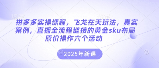 拼多多实操课程，飞龙在天玩法，真实案例，直播全流程链接的黄金sku布局原价操作六个活动-仙女副业网