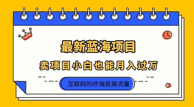 2025年最新蓝海项目，卖项目小白也能月入过万-仙女副业网