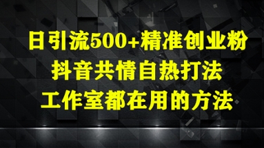 日引流500+精准创业粉，抖音共情自热打法，工作室都在用的方法-仙女副业网