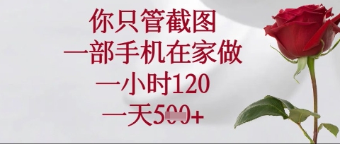 你只管截图，一部手机在家操作，一小时120.一天5张【揭秘】-仙女副业网