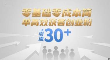 零基础零成本简单高效获客创业粉，一天引流30+-仙女副业网