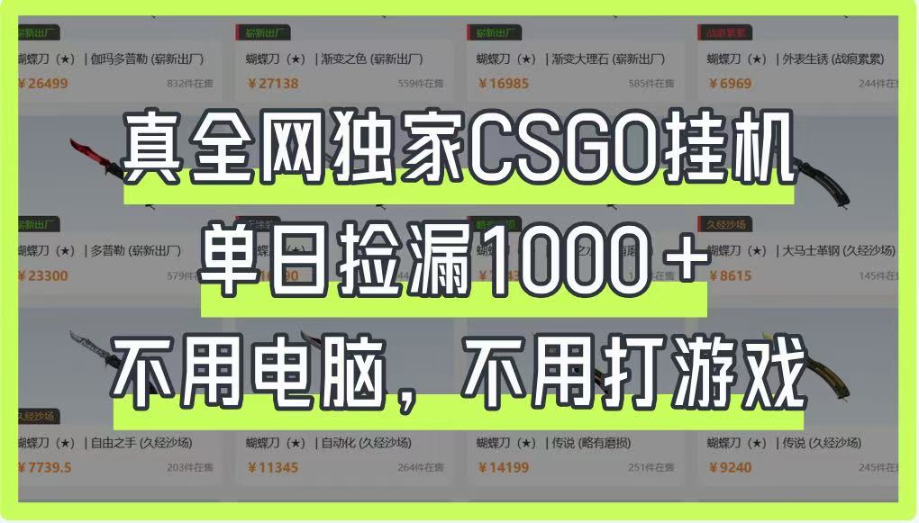 真全网独家CSGO挂机，单日捡漏1000+，不用电脑，不用养号-仙女副业网