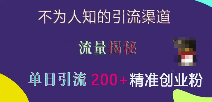 不为人知的引流渠道，流量揭秘，实测单日引流200+精准创业粉【揭秘】-仙女副业网