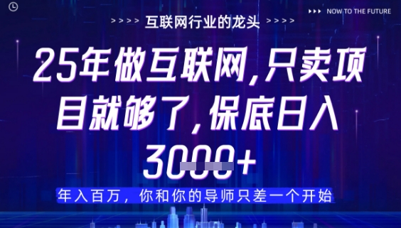 什么！25年你还在找项目做？风口早就变了，卖项目才是稳挣不赔【揭秘】-仙女副业网