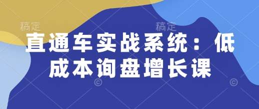 直通车实战系统：低成本询盘增长课，让个人通过技能实现升职加薪，让企业低成本获客，订单源源不断-仙女副业网