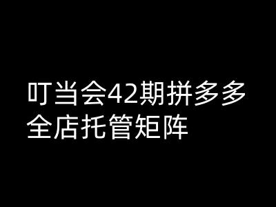 叮当会拼多多打爆班原创高阶技术第42期，拼多多全店托管矩阵-仙女副业网