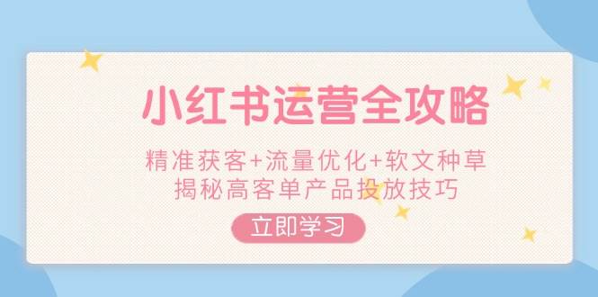 小红书运营全攻略，精准获客+流量优化+软文种草，揭秘高客单产品投放技巧-仙女副业网