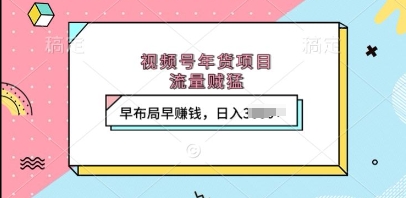 视频号年货项目，流量贼猛，早布局早挣钱，日入上k【揭秘】-仙女副业网