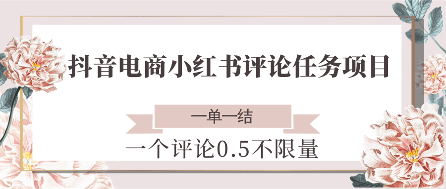 抖音电商小红书评论任务项目，一个评论0.5，一单一结 不限量-仙女副业网