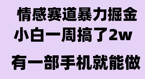 情感暴力掘金项目，新人操作一周挣了2W，长期稳定小白可做【揭秘】-仙女副业网