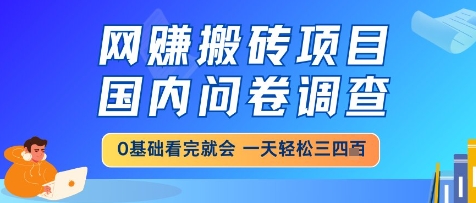 网创搬砖项目，国内问卷调查，小白轻松上手，一天三四张的也不难，干就完了【揭秘】-仙女副业网