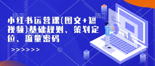 小红书运营课(图文+短视频)基础规则、策划定位、流量密码-仙女副业网