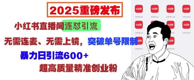 2025重磅发布：小红书直播间连怼引流，无需连麦、无需上镜，突破单号限制，暴力日引流600+-仙女副业网