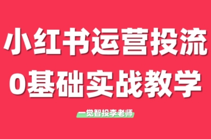李老师·小红书运营投流，0基础实战教学(更新)-仙女副业网