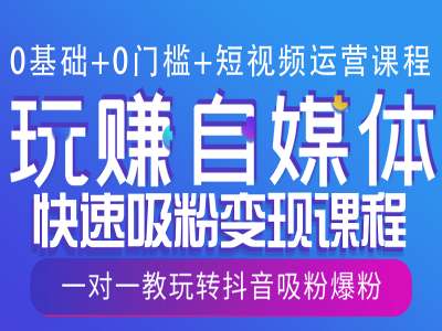 0基础+0门槛+短视频运营课程，玩赚自媒体快速吸粉变现课程，一对一教玩转抖音吸粉爆粉-仙女副业网