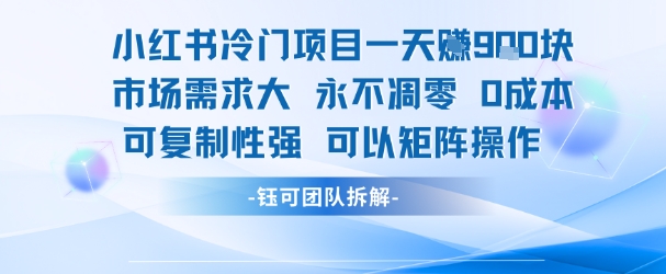 小红书冷门项目一天收益9张，市场需求大，0成本，可复制性强可以矩阵操作-仙女副业网