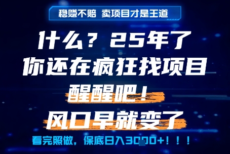 什么？25年你还在疯狂找项目做，醒醒吧，看完这些你全都懂了！【揭秘】-仙女副业网