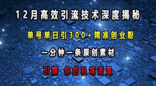 最新高效引流技术深度揭秘 ，单号单日引300+精准创业粉，一分钟一条原创素材，引爆你的私域流量-仙女副业网