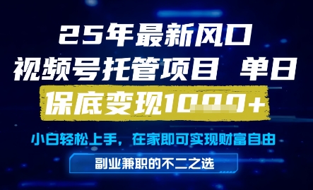 25年最新风口，视频号托管项目，单日保底变现1k+，手把手教学【揭秘】-仙女副业网