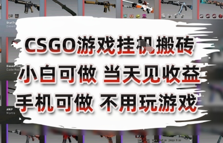 CSGO游戏挂G搬砖，小白纯手机即可操作，不用电脑打游戏，日入3张+，副业网创项目【揭秘】-仙女副业网