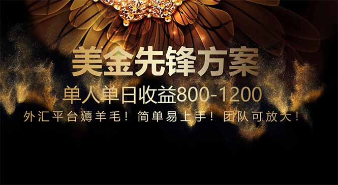 免费技术！小众赛道！一年布局抵三年努力，每日800+-仙女副业网