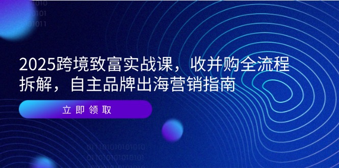 2025跨境致富实战课，收并购全流程拆解，自主品牌出海营销指南-仙女副业网