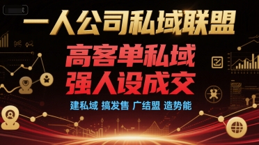 一人公司私域联盟，高客单私域，强人设成交，建私域 搞发售 广结盟 造势能-仙女副业网