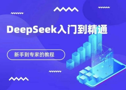 DeepSeek快速从入门到精通，新手的保姆级教程-仙女副业网