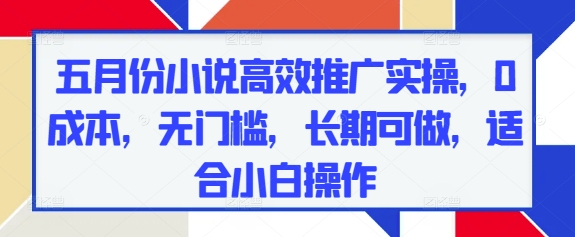 五月份小说高效推广实操，0成本，无门槛，长期可做，适合小白操作-仙女副业网