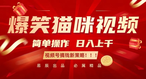 爆笑猫咪视频：简单操作，日入过K，视频号搞钱新策略【揭秘】-仙女副业网