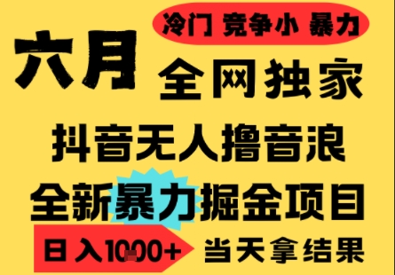 25年6月高爆抖音无人直播最新撸音浪掘金项目，小白可做，无脑日入1k+，门槛低可批量矩阵【揭秘】-仙女副业网