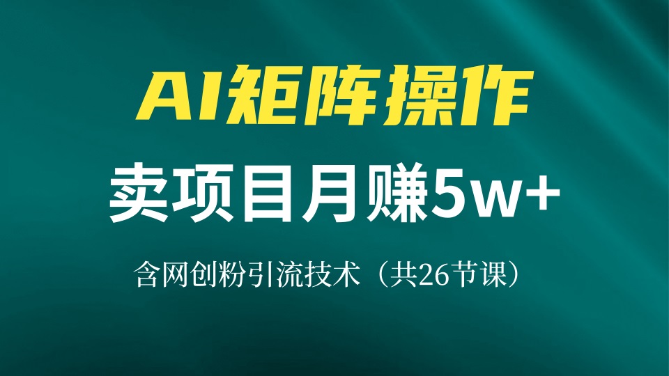 网创IP打造课，借助AI卖项目月赚5万+，含引流技术(共26节课-仙女副业网