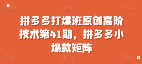 拼多多打爆班原创高阶技术第41期，拼多多小爆款矩阵-仙女副业网