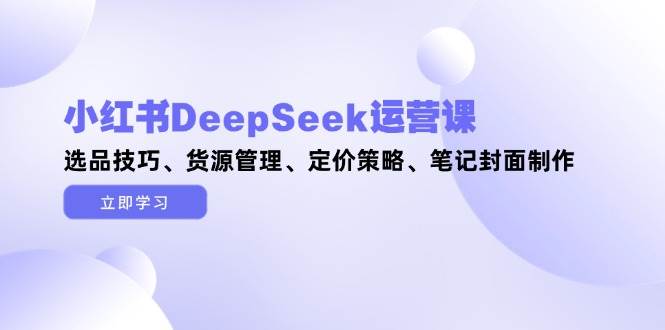 小红书DeepSeek运营课，选品技巧、货源管理、定价策略、笔记封面制作-仙女副业网