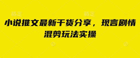 小说推文最新干货分享，现言剧情混剪玩法实操-仙女副业网