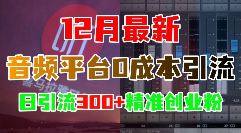 12月最新：音频平台0成本引流，日引流300+精准创业粉-仙女副业网