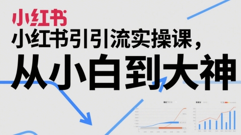 小红书引流实操课，从小白到大神-仙女副业网