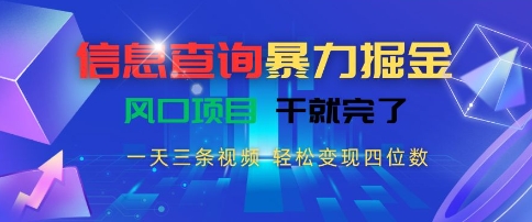 信息查询暴力掘金，一天三条视频，轻松变现四位数，风口项目干就完了【揭秘】-仙女副业网