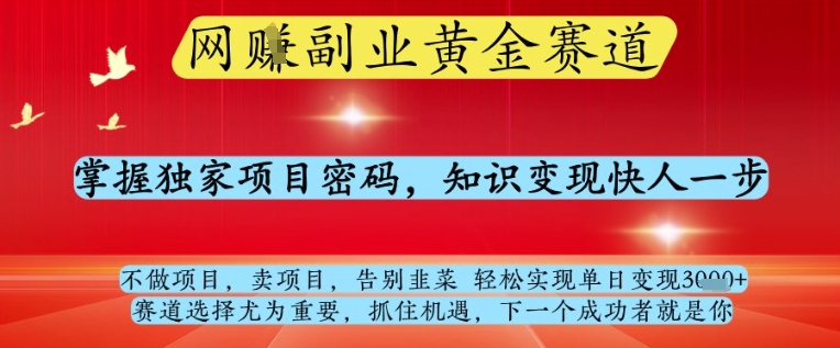 网创副业黄全赛道，掌握独家项目密码，知识变现快人一步，告别韭菜轻松实现单日变现1k+【揭秘】-仙女副业网