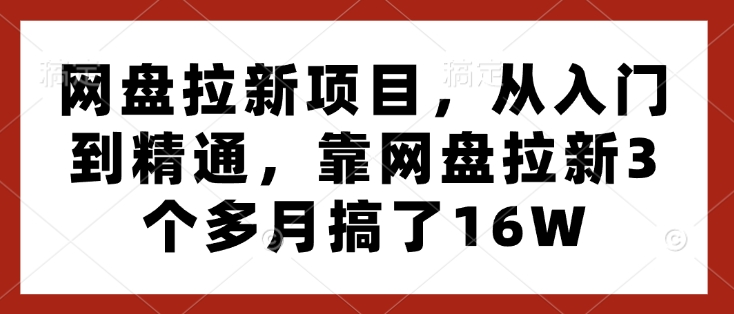网盘拉新项目，从入门到精通，靠网盘拉新3个多月搞了16W-仙女副业网
