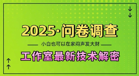 2025问卷调查最新工作室技术解密：一个人在家也可以闷声发大财，小白一天2张，可矩阵放大【揭秘】-仙女副业网