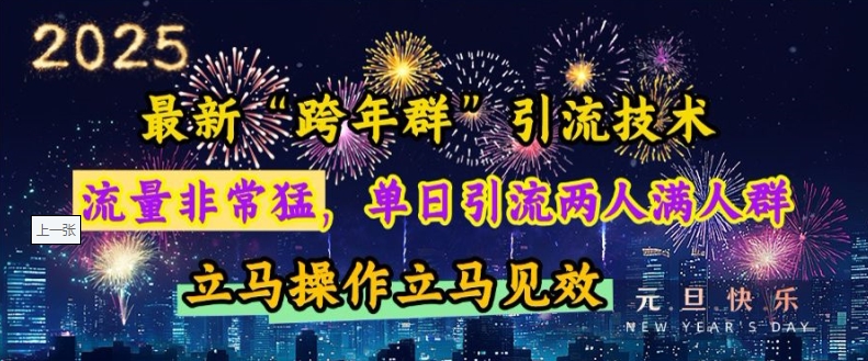 最新“跨年群”引流，流量非常猛，单日引流两人满人群，立马操作立马见效【揭秘】-仙女副业网