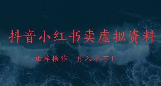 抖音小红书卖虚拟资料，市场需求一直存在，矩阵操作，月入1w+-仙女副业网