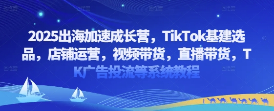 2025出海加速成长营，TikTok基建选品，店铺运营，视频带货，直播带货，TK广告投流等系统教程-仙女副业网