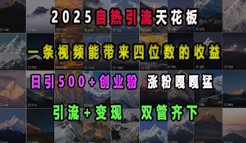 2025自热引流天花板，一条视频能带来四位数的收益，引流+变现双管齐下，日引500+创业粉，涨粉嘎嘎猛-仙女副业网