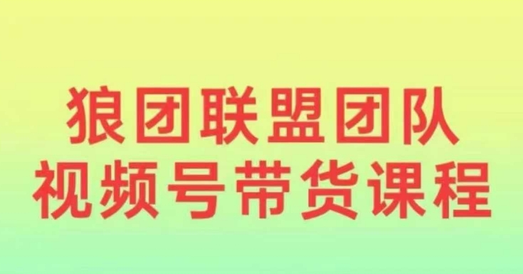 狼团联盟2024视频号带货，0基础小白快速入局视频号-仙女副业网