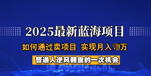 2025蓝海项目，普通人如何通过卖项目，实现月入过W，全过程【揭秘】-仙女副业网