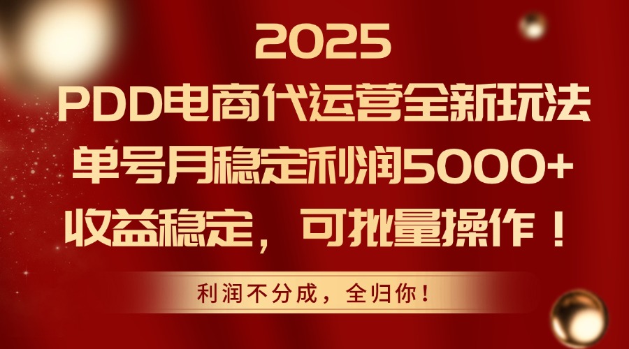 2025PDD电商代运营全新玩法，单号月稳定利润5000+，收益稳定，可批量操作-仙女副业网